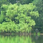 Osrodek Delfin Ferienpark Ślesin