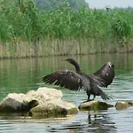 Osrodek Delfin *