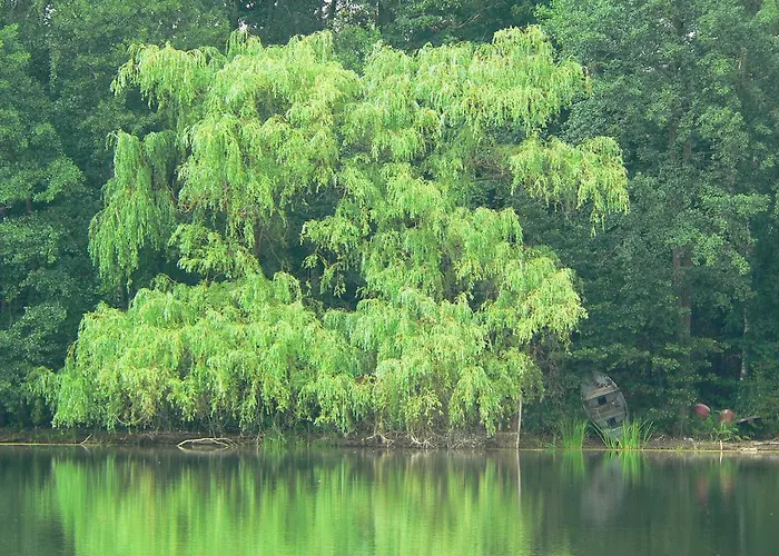 Osrodek Delfin Aldeamento Turístico Ślesin